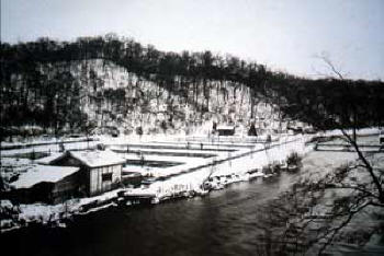 Chitose Field Station at the time of establishment