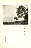 支笏湖の風景