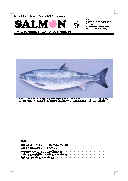 salmon6号表紙